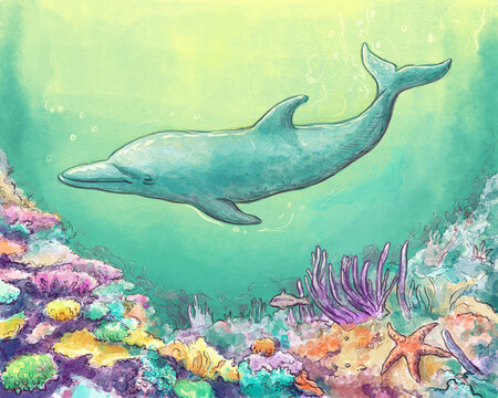 Dolphin Watercolor Illustration