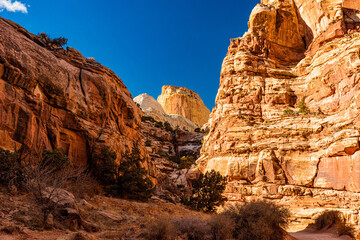 Obraz premium The Throne in Capital Reef National Park