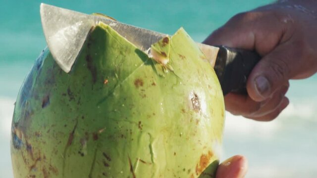Splash coconut water in Rio de Janeiro summer, Brazil