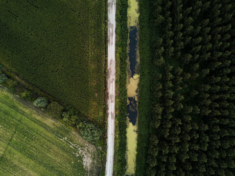 Aerial drone shot of a forest, meadow and pond