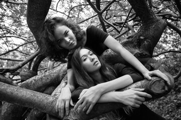 Two girls in the branches.