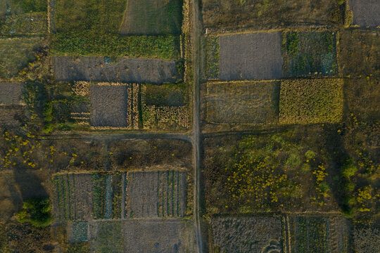 vegetable gardens. top view