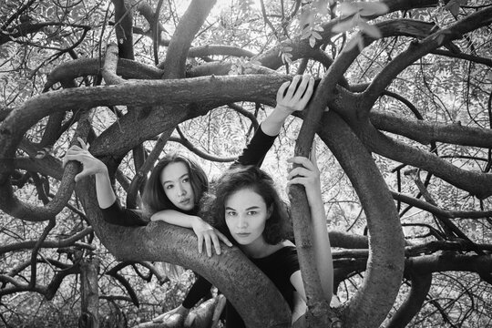 Two girls in the branches.