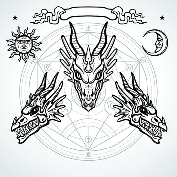 Mystical drawing: animation head of a dragon. Symbols of the sun and moon, vignette, alchemy circle  transformations. Magic, esoterics, occultism, fairy tale. Monochrome vector illustration.