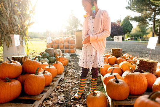 Girl in rainbow boots and braids examines pumpkins for sale