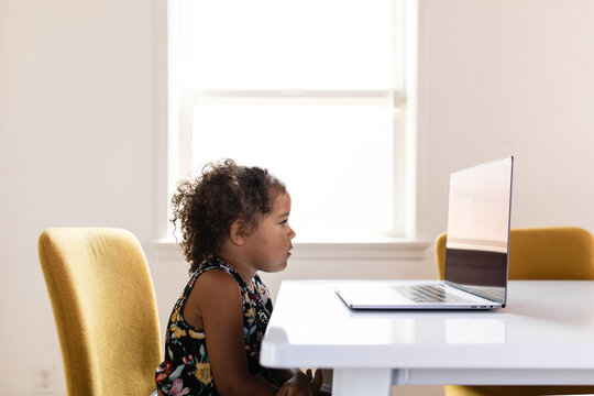 Little Girl Staring at Laptop Computer