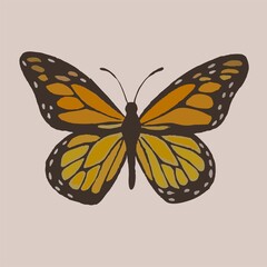 vector of a butterfly with a beautiful motif