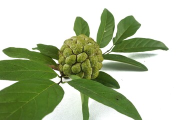 srikaya fruit on a white background