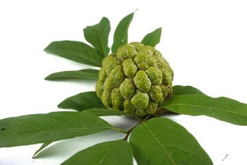 srikaya fruit on a white background