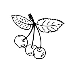 Vector illustration of cherry berries in doodle style on a white isolated background. Drawing for stickers, clothing decor, packaging, printing.