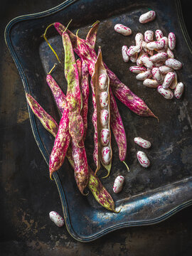 cranberry beans