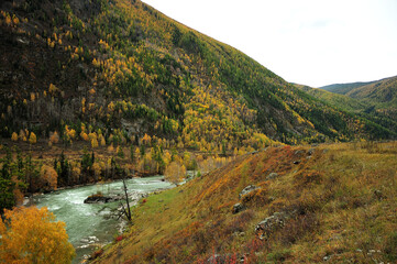 A bend of a beautiful turquoise river flowing through the valley at the foot of a high mountain.