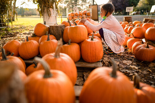 Profile of young girl holding pumpkin at farm stand