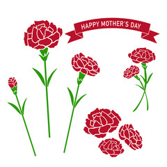 カーネーション　母の日