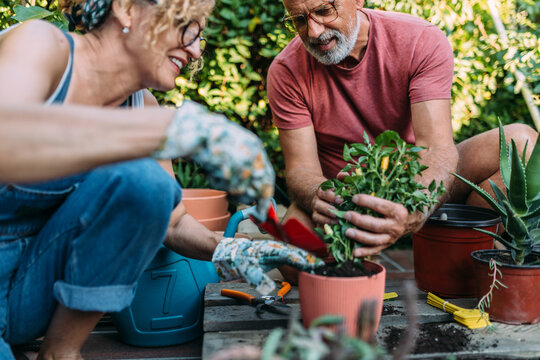Couple Planting Flowers
