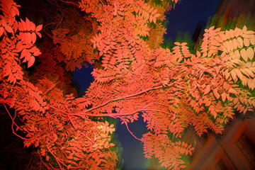 Red tree
