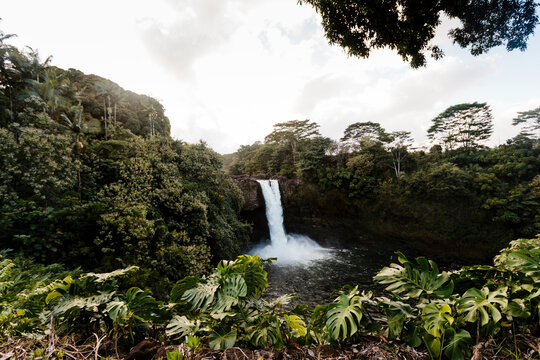 Rainbow Falls in Hilo, Big Islan of Hawaii.