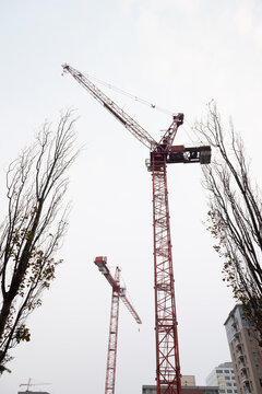 City cranes