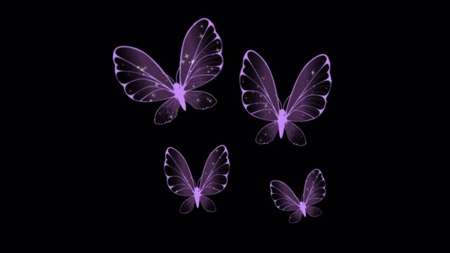 Animatio purple butterfly swarm on black background.