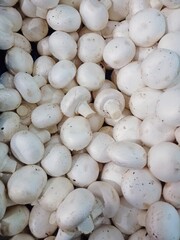 Champignon mushrooms in a box. Porcini mushrooms collected in a basket.