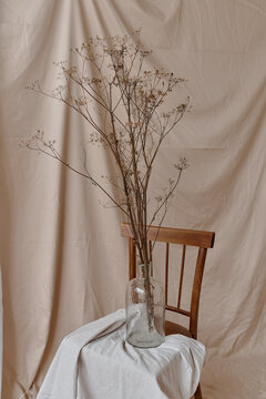still life of dried flowers in a glass vase on a chair fabric with folds on the background
