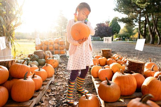 Girl in rainbow boots looks at pumpkin at farm stand