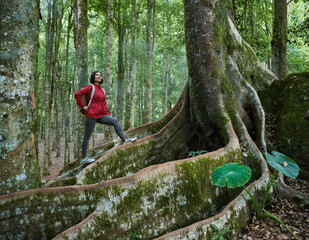 Asian woman standing on tropical tree while trekking in rainforest
