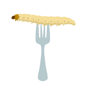 Food Insects: Bamboo worm or Bamboo Caterpillar insect deep-fried crispy for eating as food items on fork, it is good source of protein edible for future. Entomophagy concept.