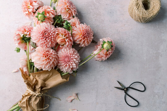 Bouquet of pink dahlias