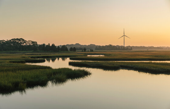 Beautiful Marsh Landscape with Wind Turbine
