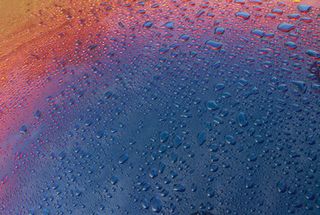 raindrops on car roof