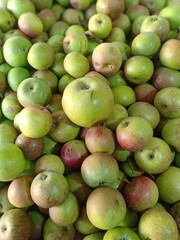 apples Fruit Fresh Green
