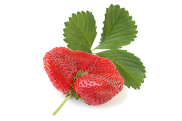 Strawberry with twig and leaves isolated on white
