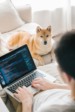 Working at home with pet dog