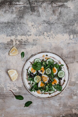 Obraz na płótnie Canvas salad with fresh cucumbers, herbs, soft boiled eggs and lemon dressing on ceramic plate, seasonal healthy eating concept, copy space