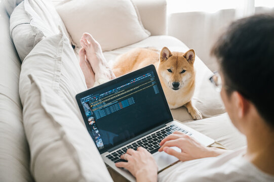 Working at home with pet dog