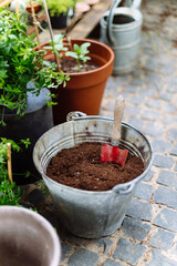 Gardening in bright day with vintage iron bucket, shovel and watering can