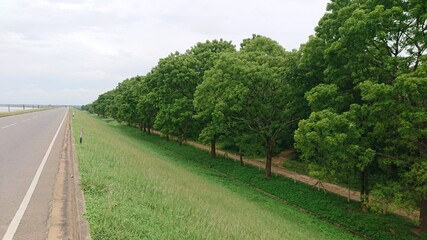 road in the countryside