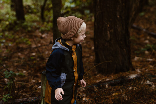Little blond toddler boy playing in the woods