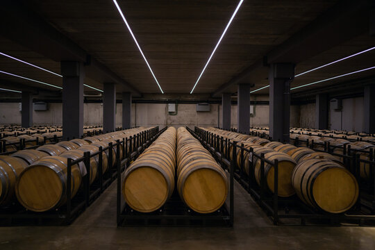 Wine Cellar.