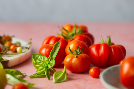 Fresh tomatoes
