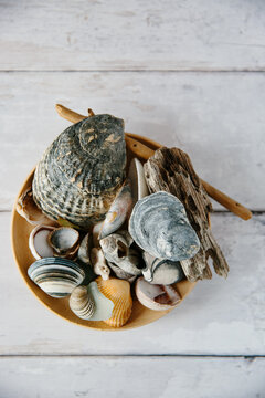 A bowl of seashells