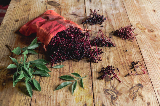 fresh elderberries their leaves on a wooden table