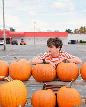 Boy Standing by Pumpkins for Sale