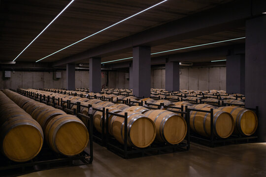 Wine Cellar.