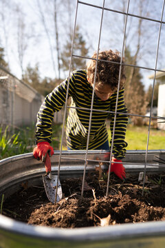 Boy digging in garden bed in Spring