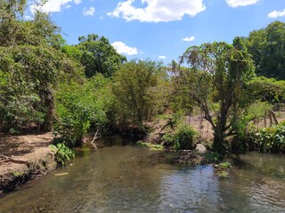 rio de agua natural