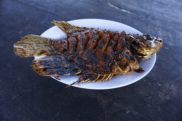 grilled carp on a plate