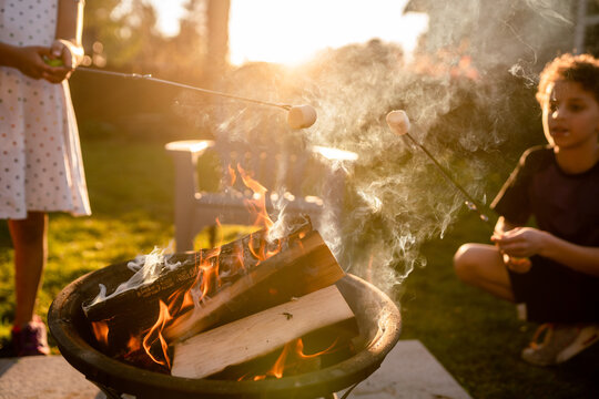 Children roasting marshmallows over smoking campfire