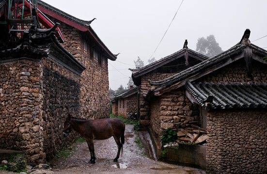 Ancient village buildings and horses, in Lijiang, Yunnan. It's raining